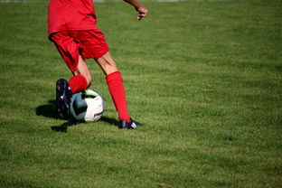 米兰体育在线-CBA球队完善伤病防护体系保障运动员健康和职业生涯，cba球员伤情报告